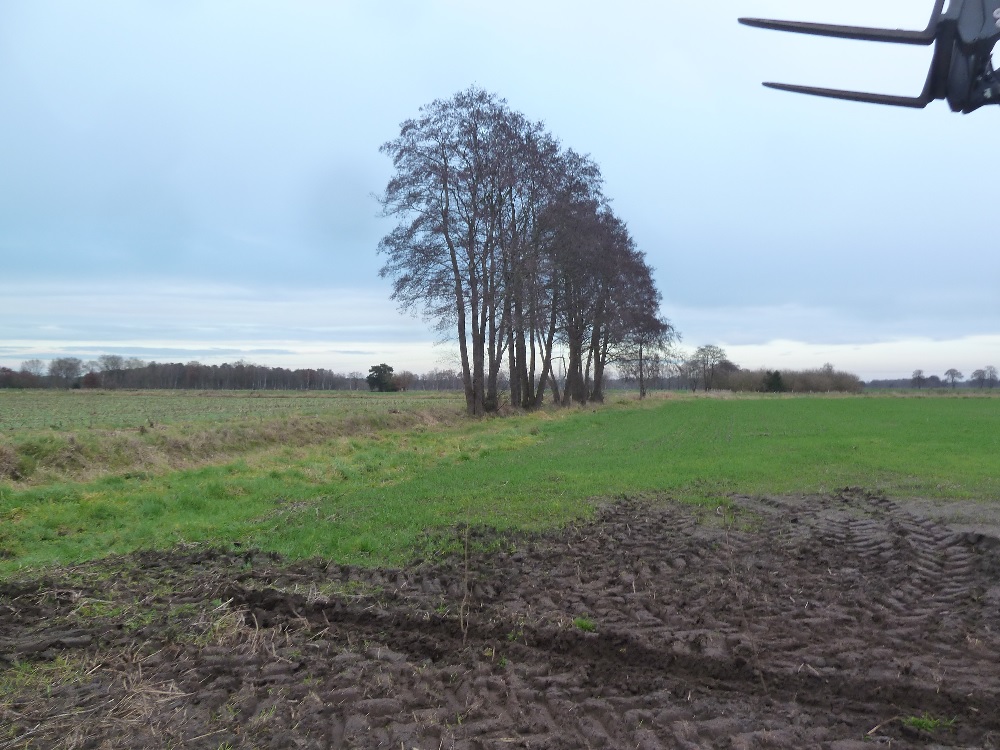 Bild von der Heckenpflanzung der Grünen in ROW